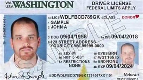 seattle city license search.